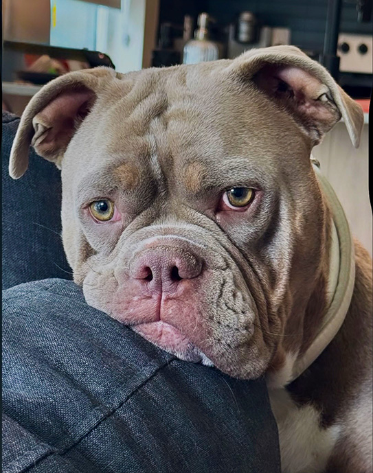 max